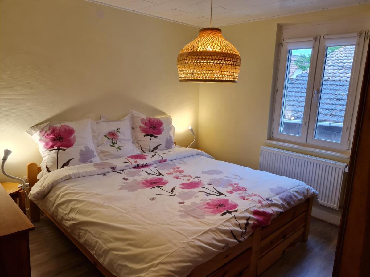 Les Chouchous Du Ried 2 Apartment Saasenheim Luaran gambar